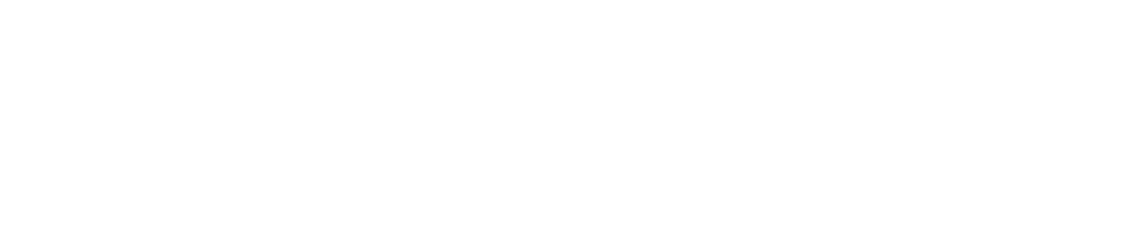 LOGO-MISSLENE
